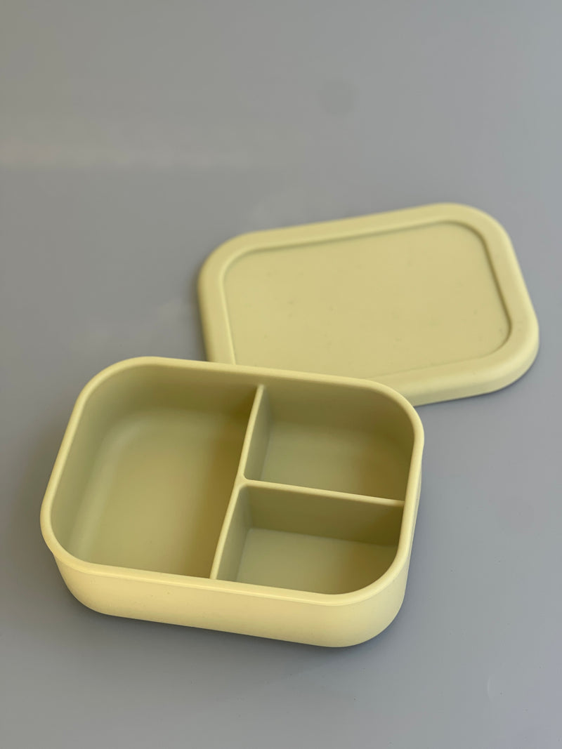 Bento Box Silicone Lunch Box – Ink and Fiber Designs